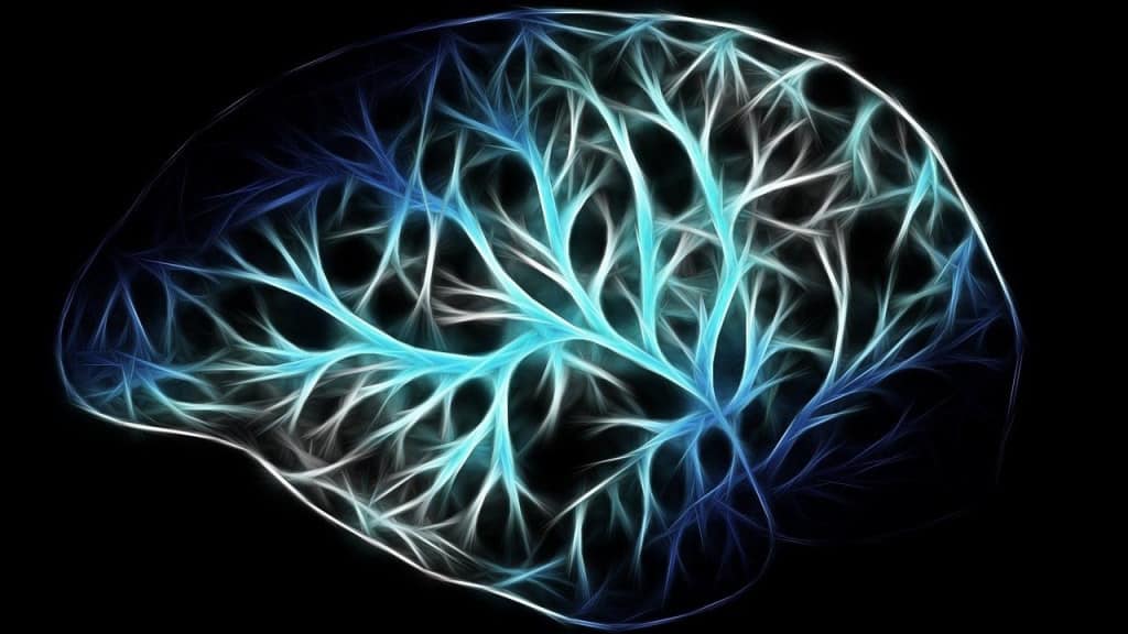 Comment entretenir son cerveau et améliorer ses capacités : les techniques de hacking douces et efficaces